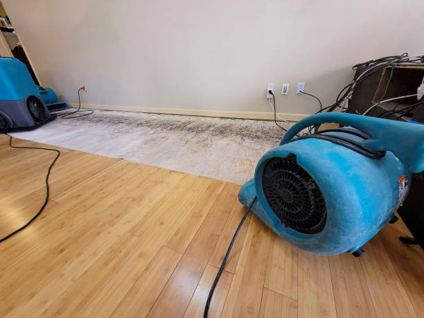 Professional Basement Flood Cleanup technician working in Beckley, WV